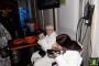 Thumbs/tn_Fruhshoppen 2017 126.jpg